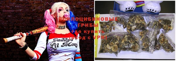 тгк Балахна