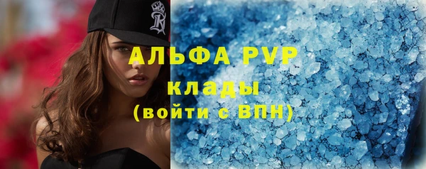 индика Баксан