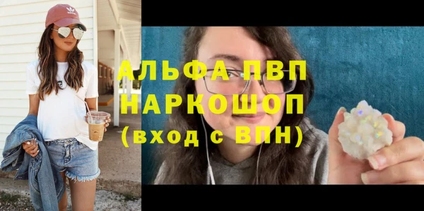 индика Баксан
