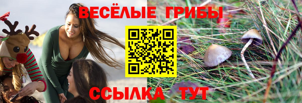 Губаха  Псилоцибиновые грибы Magic Shrooms  Псилоцибиновые грибы Magic Shrooms  Вход с VPN 