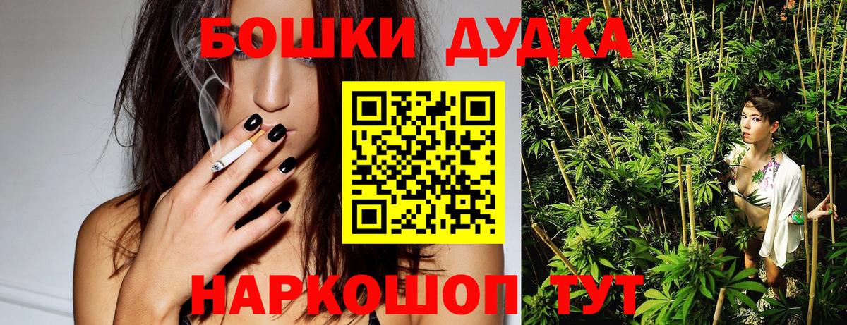 Каннабис OG Kush Губаха